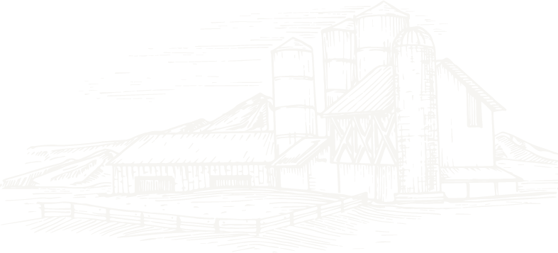 about-bg-icon-1-1